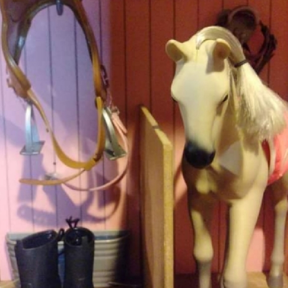 2 MY GENERATION FEMALE FOALS - Picture 3 of 5